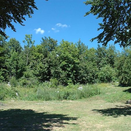 Apartman Juka Krasno Polje Zewnętrze zdjęcie